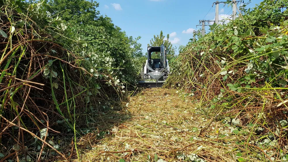 Evacuare deșeuri verzi